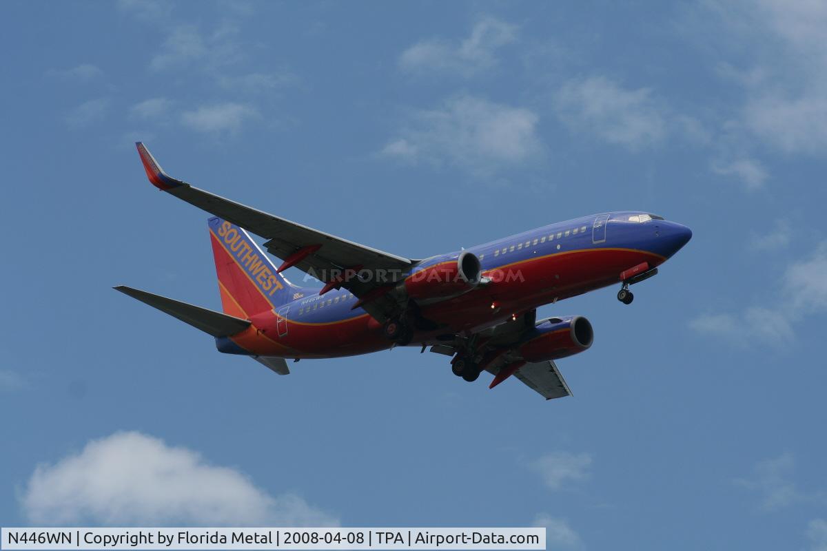 N446WN, 2003 Boeing 737-7H4 C/N 29842, Southwest 737-700