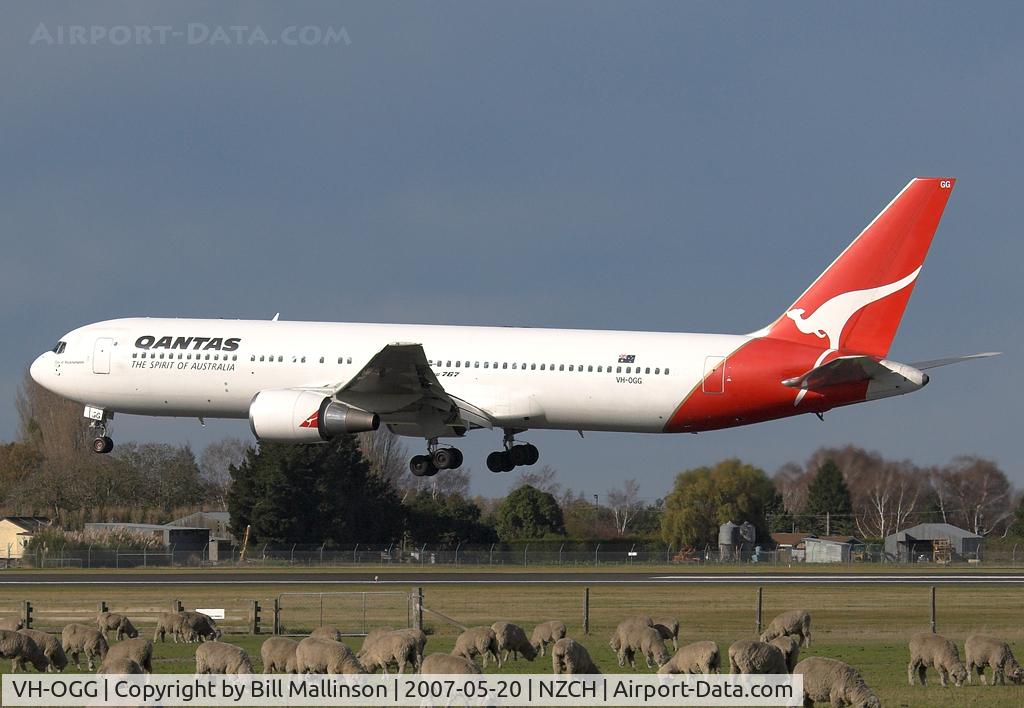 VH-OGG, 1990 Boeing 767-338 C/N 24929, How many sheep or wooly jumpers ??