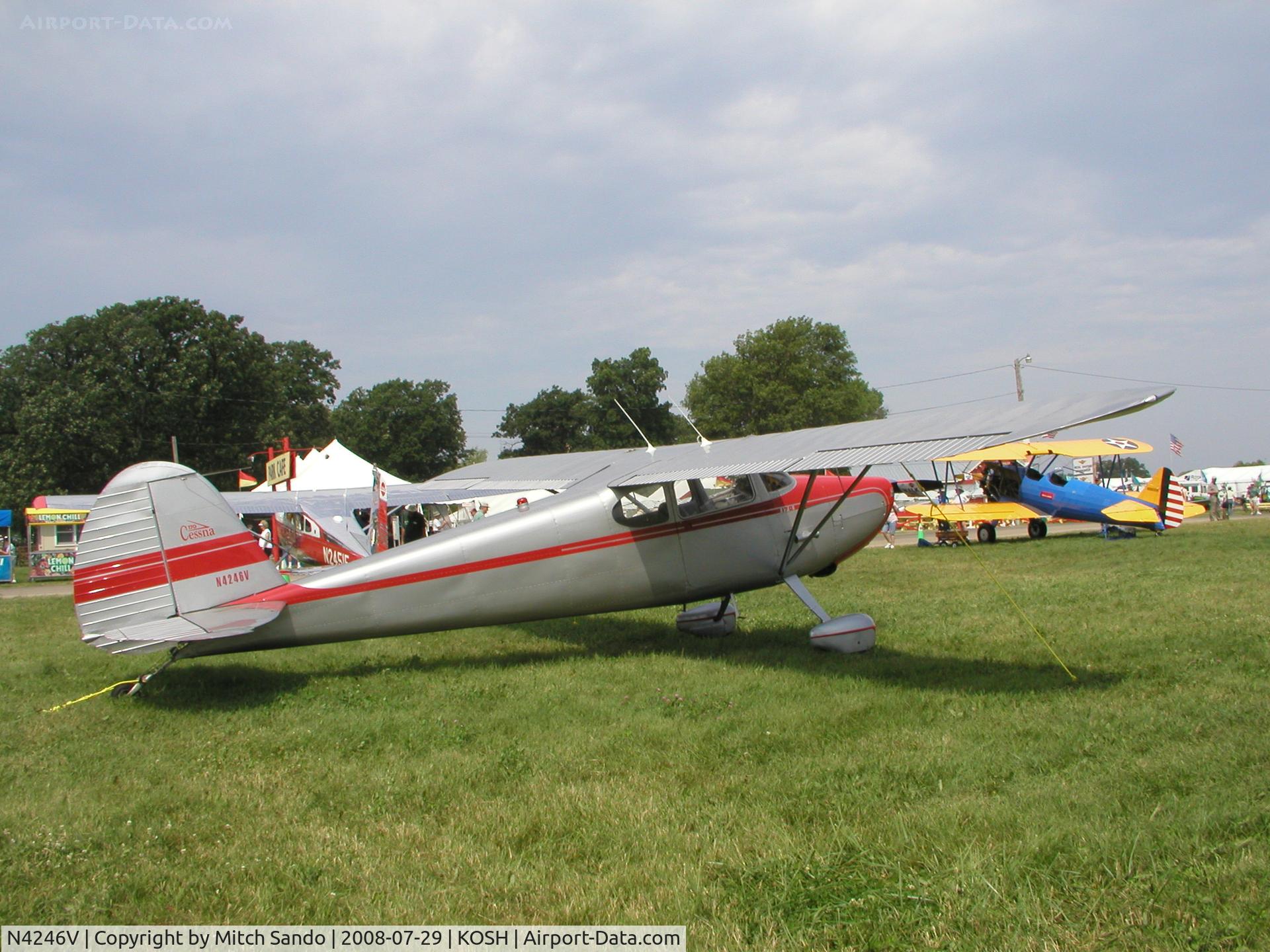 N4246V, 1948 Cessna 170 C/N 18602, EAA AirVenture 2008.