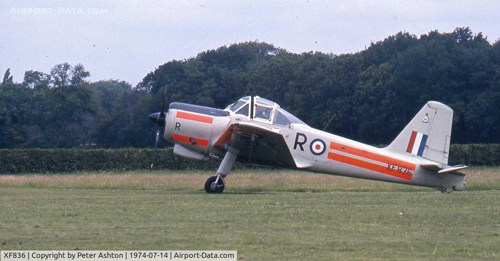 XF836, 1955 Percival P-56 Provost T.1 C/N PAC/56/339, At Old Warden Aerodrome, Bedfordshire, England. Hunting Provost T.1