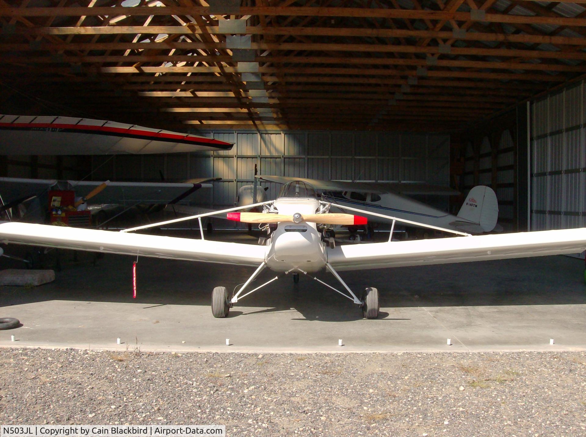 N503JL, 1993 Baker Supercat C/N AH131651SC, Supercat