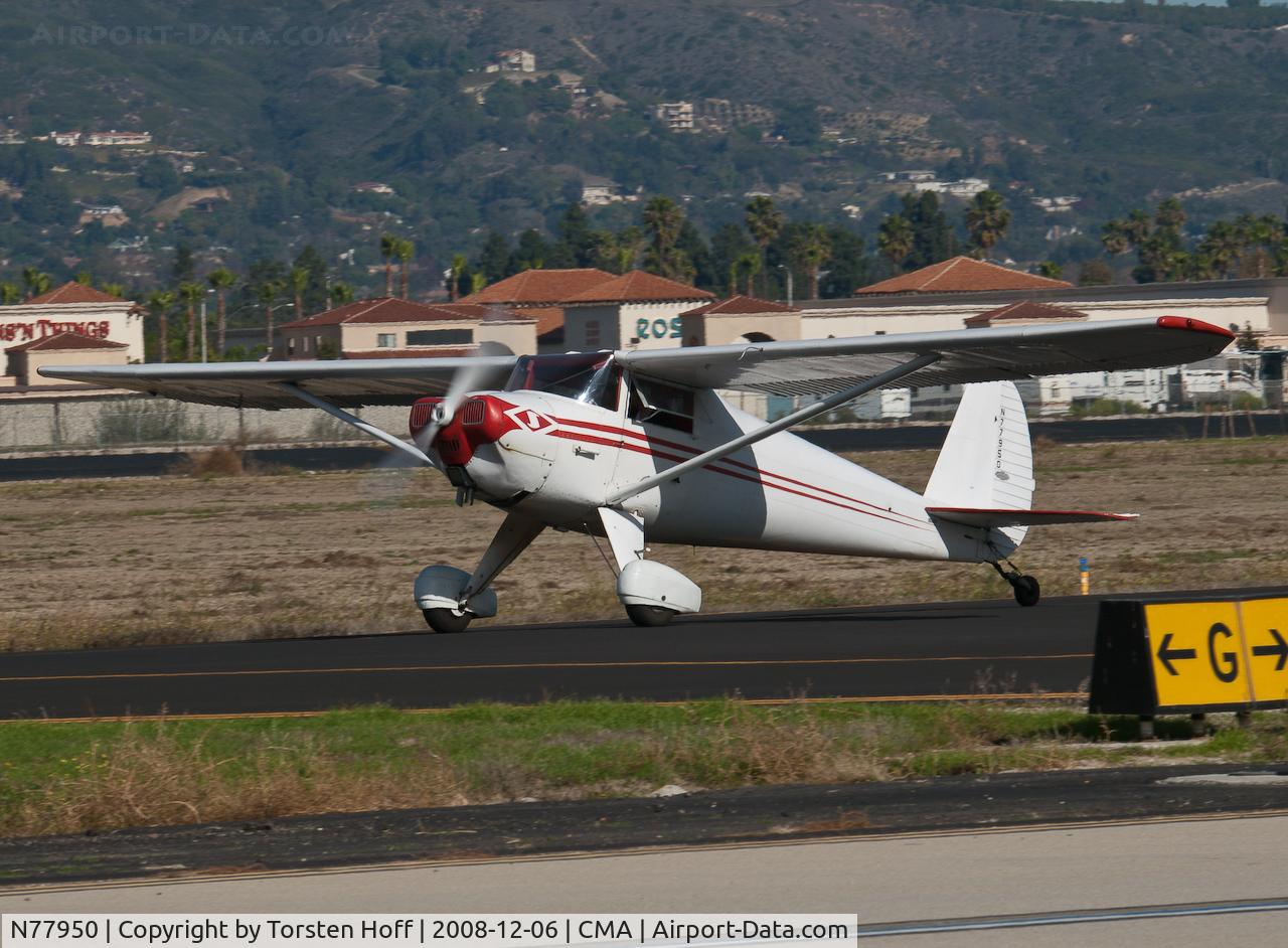 N77950, 1946 Luscombe 8A C/N 3677, N77950 taxiing