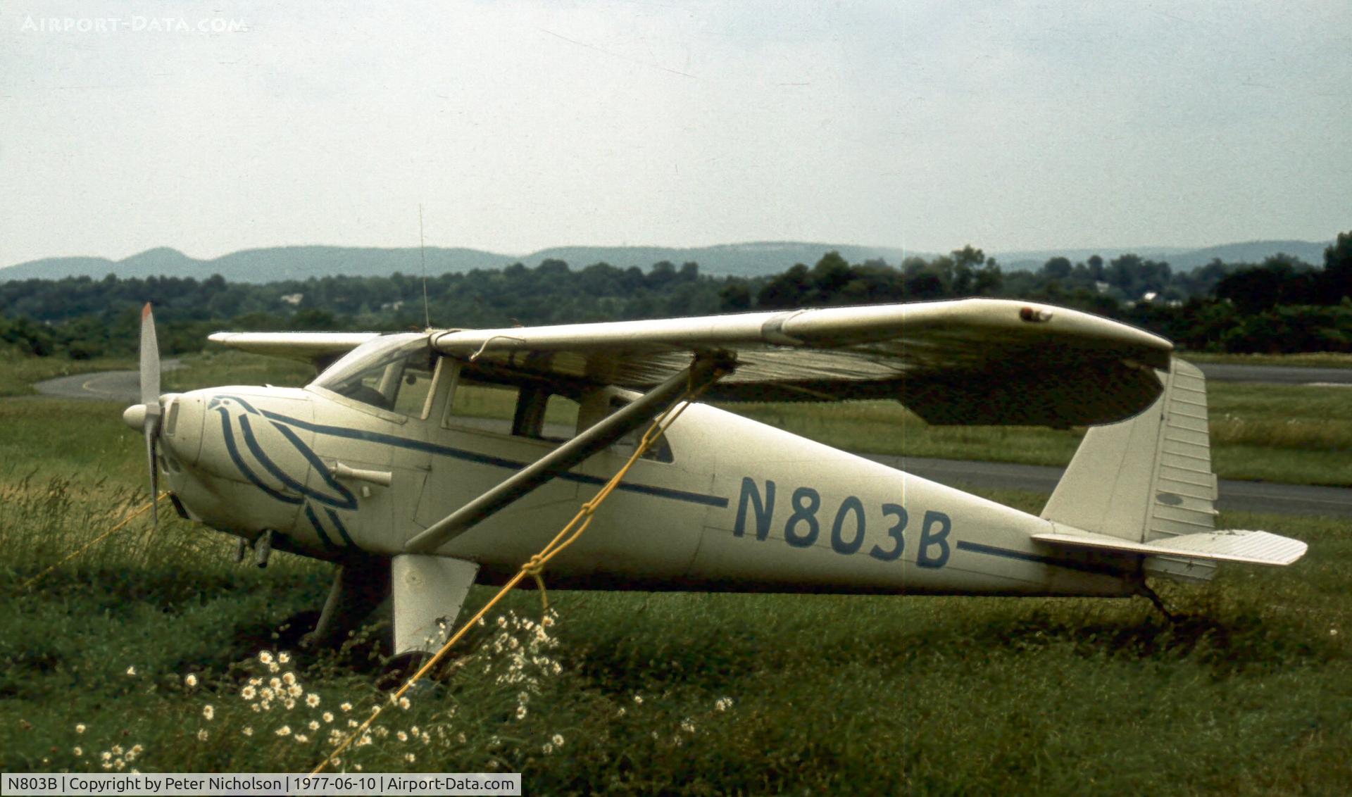 N803B, 1950 Luscombe 8F Silvaire C/N 6733, This is how it looked in the summer of 1977.