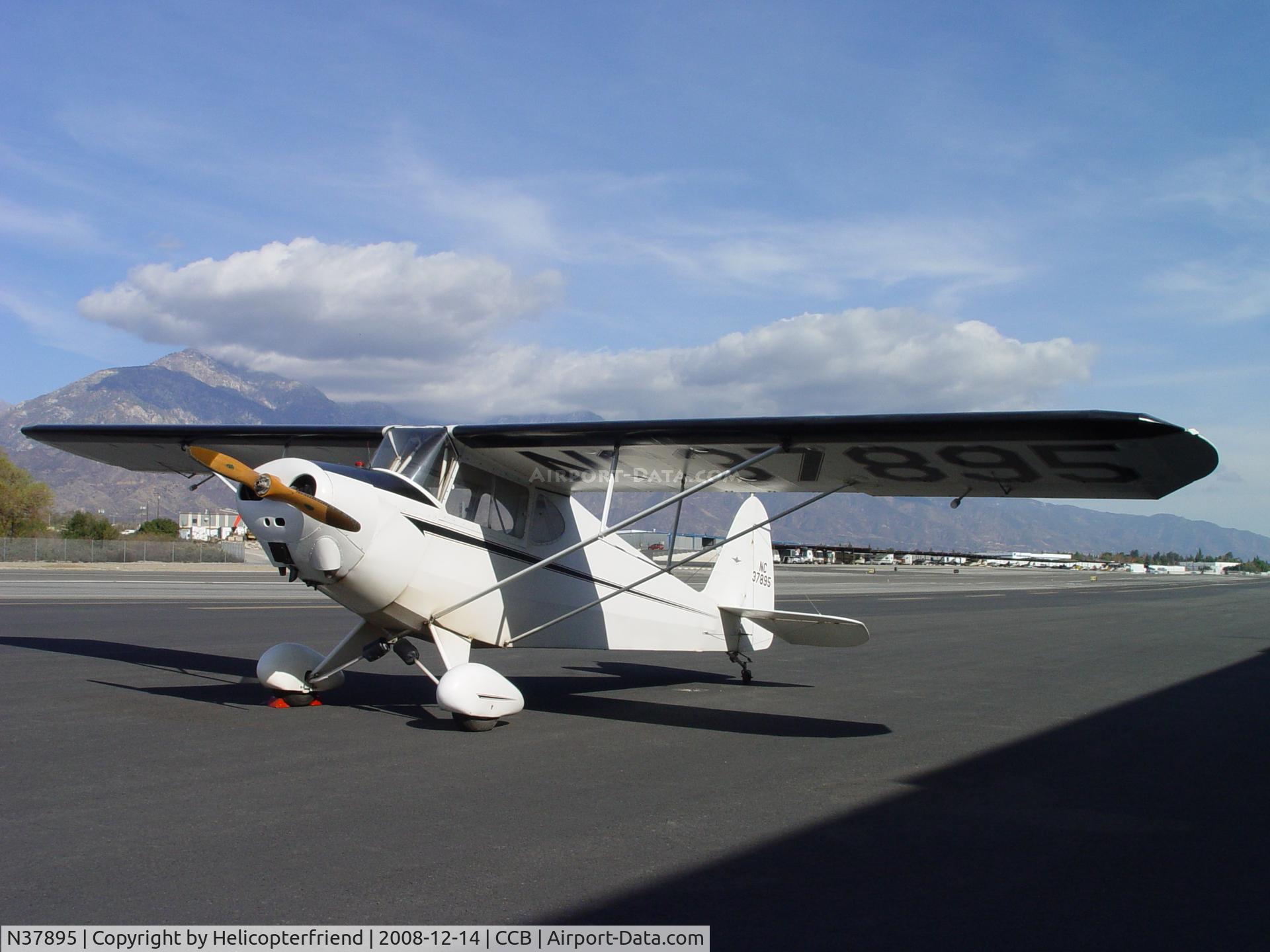 N37895, 1941 Porterfield CP-65 C/N 1025, Sunning herself at Cable