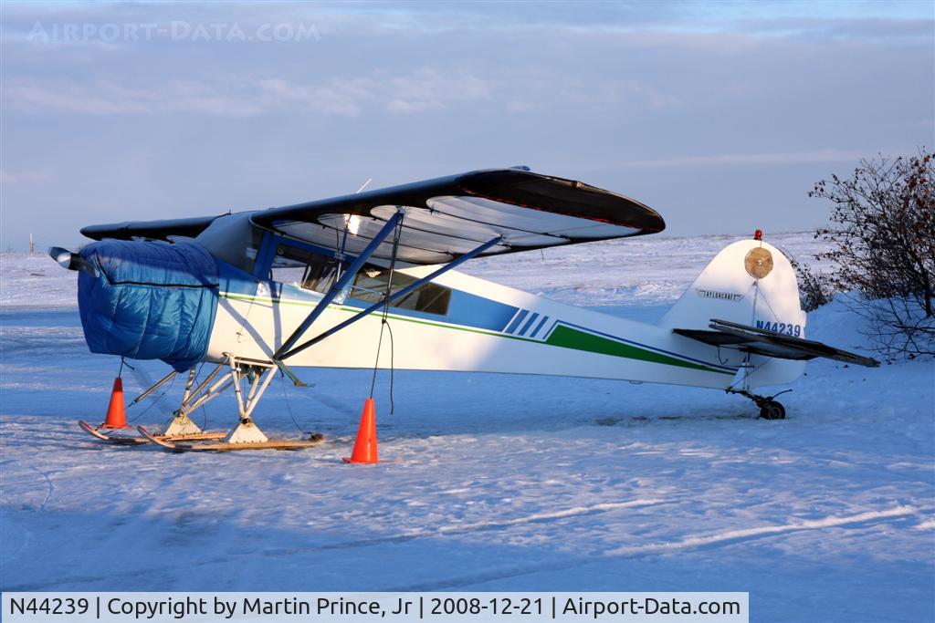 N44239, 1946 Taylorcraft BC12-D C/N 10039, Waiting for another flight