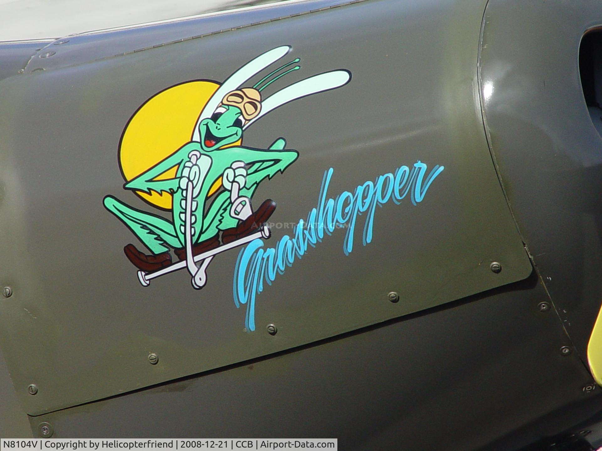 N8104V, 1989 Wag-Aero Sport Trainer C/N GWA466, Grasshopper nose art