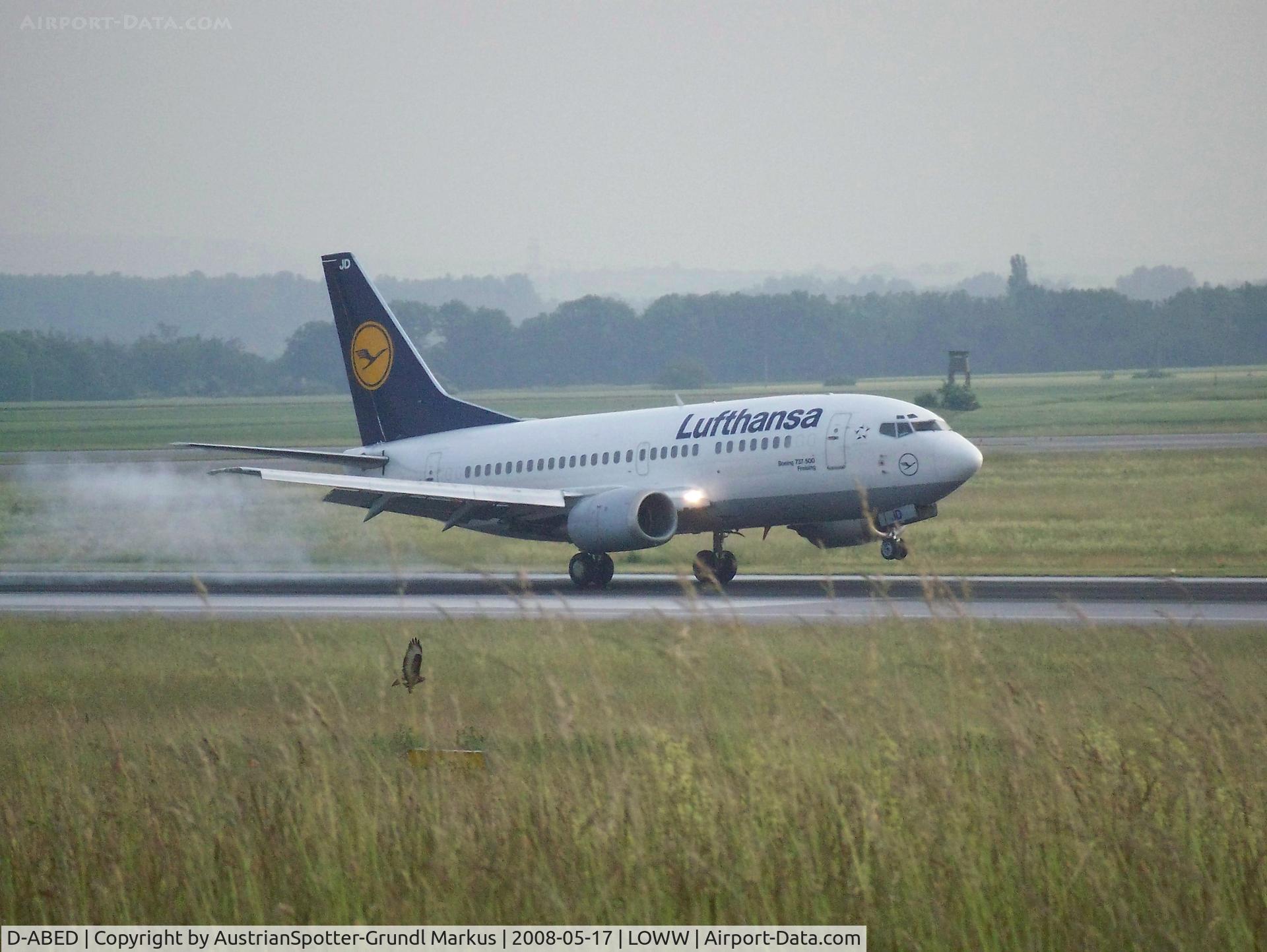 D-ABED, 1991 Boeing 737-330 C/N 25215, Lufthansa