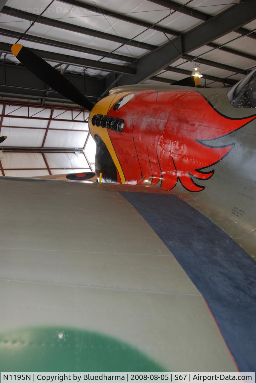 N1195N, 1942 Curtiss P-40N Warhawk C/N 130158, Parrott Head Livery on this P-40N. Painted to represent a P-40N from the 502nd FS, 337th FG, Napier Field, AL 1943.
