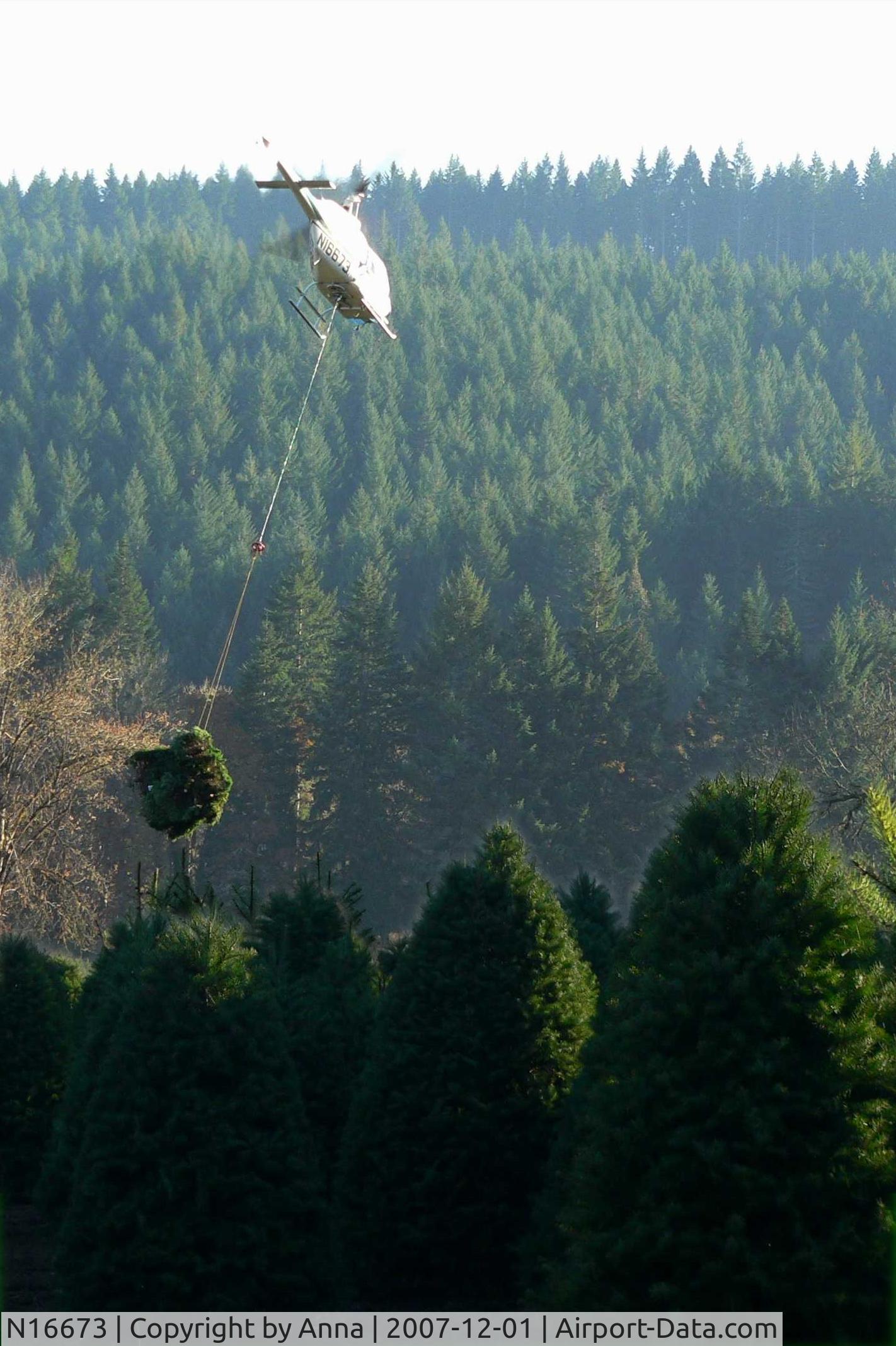 N16673, 1976 Bell 206B JetRanger II C/N 2088, Haulin' trees in Philomath