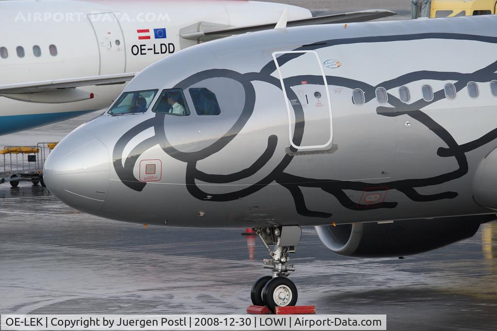 OE-LEK, 2007 Airbus A319-112 C/N 3019, Airbus A319-112