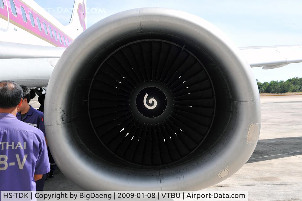 HS-TDK, 1998 Boeing 737-4D7 C/N 28701, Engine 1 Intake duct and fan assy