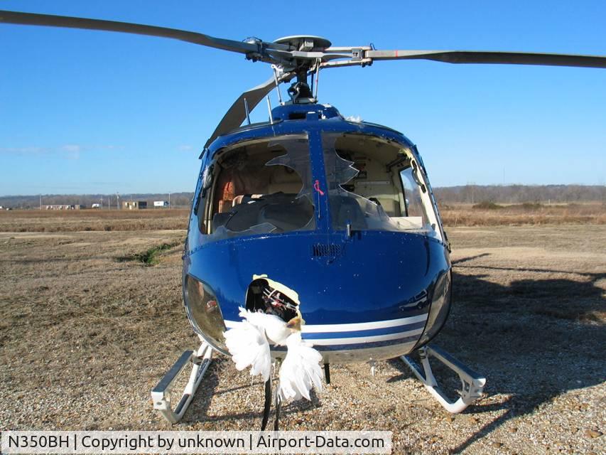 N350BH, Eurocopter AS-350B-2 Ecureuil Ecureuil C/N 2813, after a multiple birdstrike