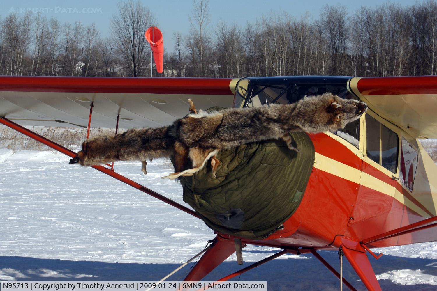 N95713, 1946 Taylorcraft BC12-D C/N 8013, 1946 Taylorcraft BC12-D, c/n 8013