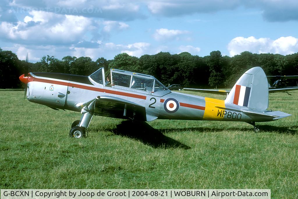 G-BCXN, 1952 De Havilland DHC-1 Chipmunk T.10 C/N C1/0692, in Southampton UAS markings.