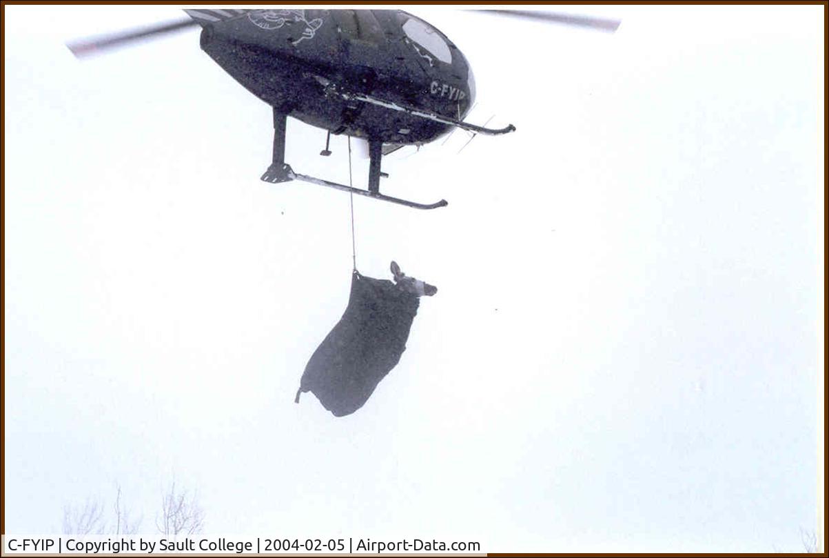 C-FYIP, 1976 Hughes 369D C/N 1260061D, C-FYIP on elk capture project near Iron Bridge, ON