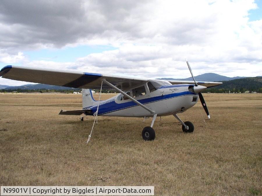 N9901V, 1966 Cessna 180H Skywagon C/N 18051753, C-180H