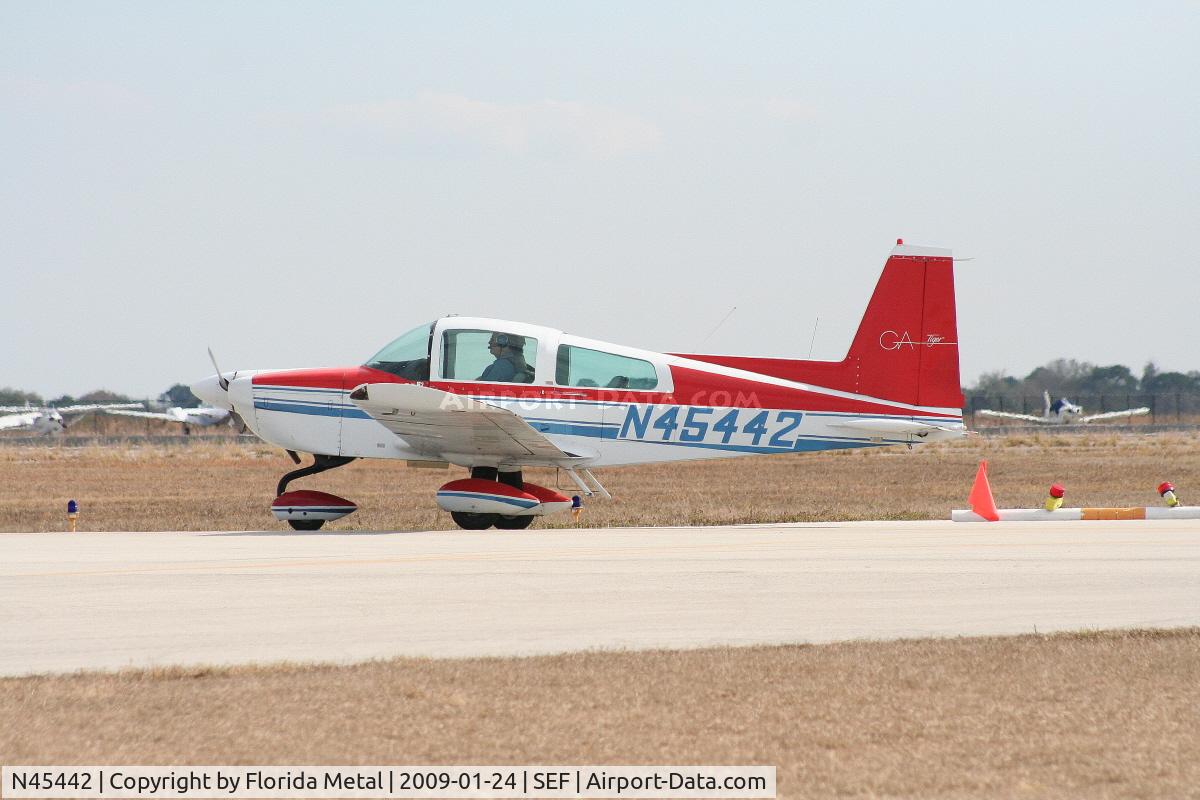 N45442, 1979 Grumman American AA-5B Tiger C/N AA5B1233, Grumman AA-5B