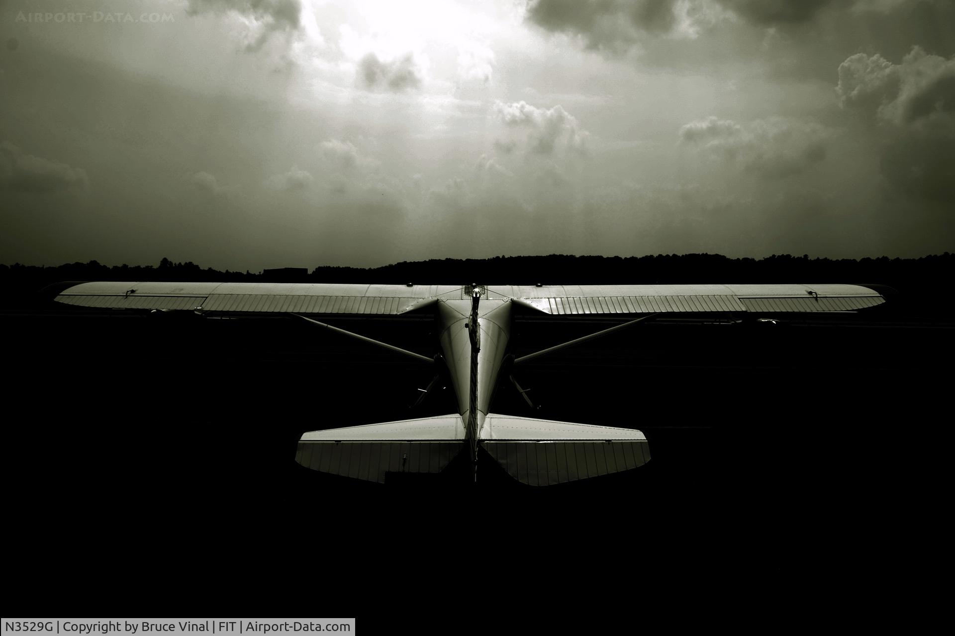 N3529G, 1959 Silvaire 8F C/N S-57, What Would Ansel Do?