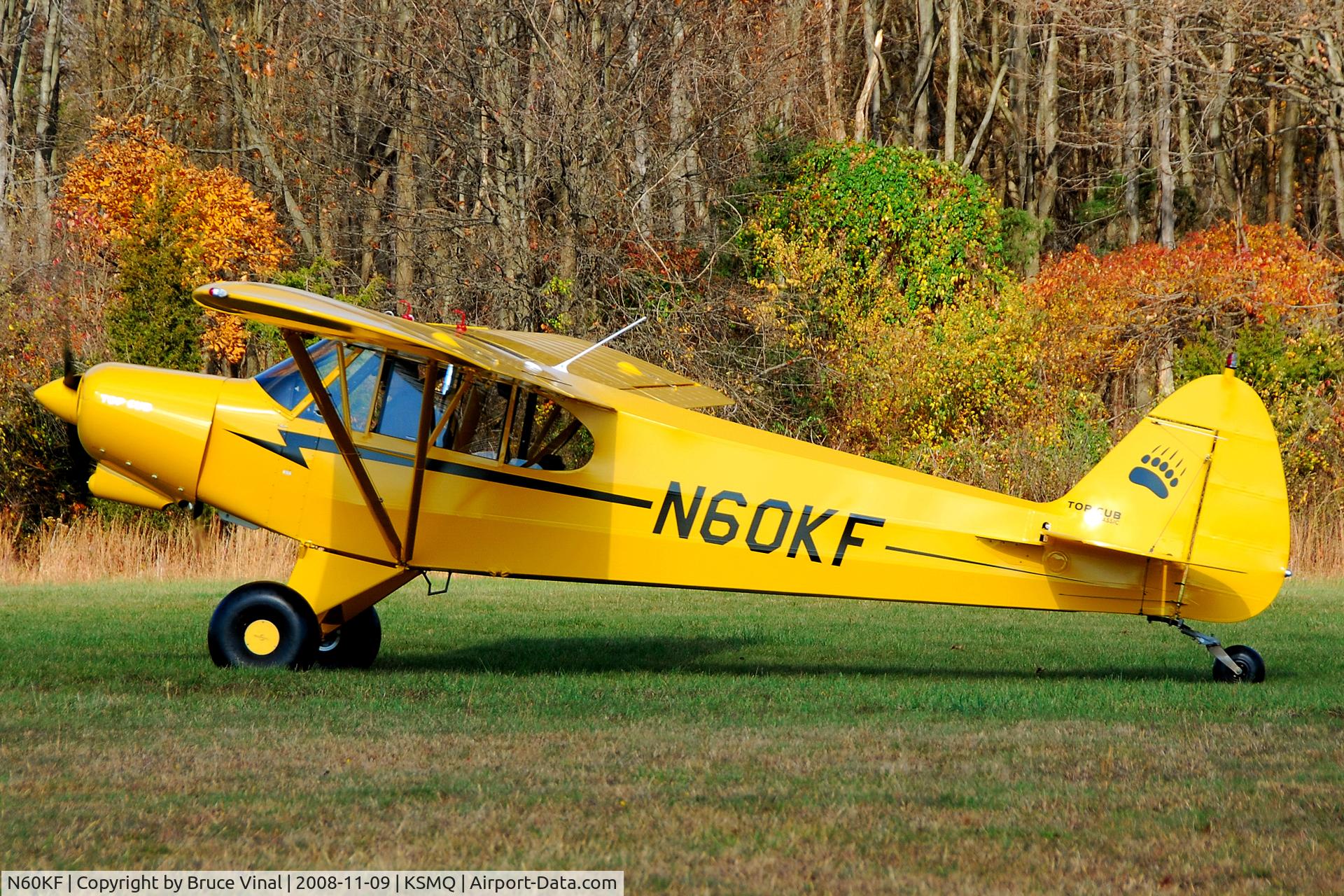 N60KF, 2007 Cub Crafters CC18-180 Top Club C/N CC18-0022, Cub Landing on The Grass, As It Should Be