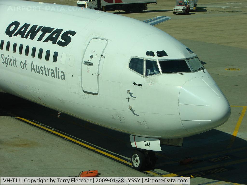 VH-TJJ, 1990 Boeing 737-476 C/N 24435, Qantas B737 named Heron