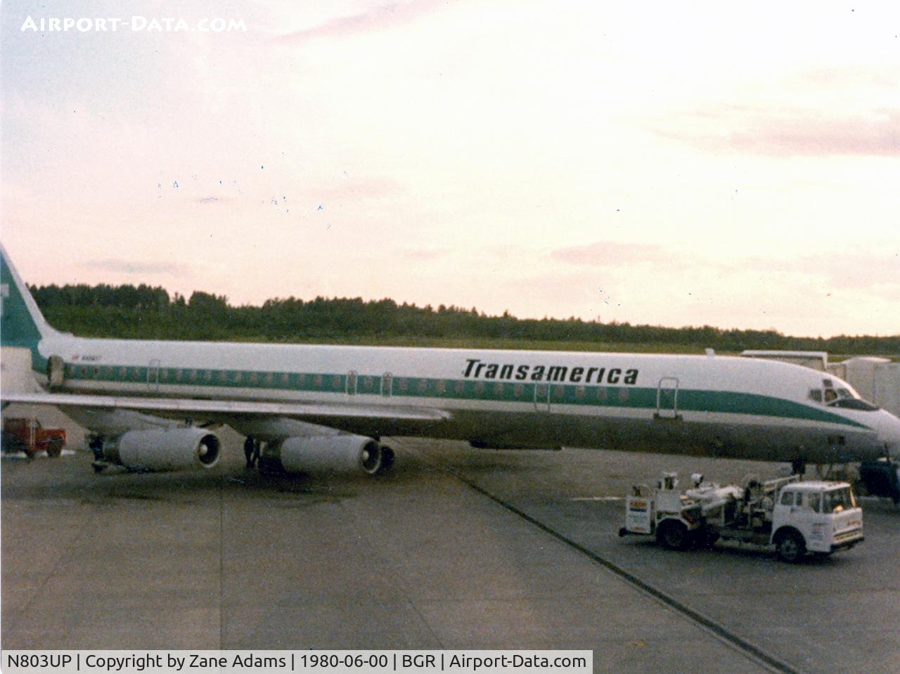 N803UP, 1969 Douglas DC-8-73F C/N 46073, Seen as Transamerica N4865T - This aircraft was our charter for my high school summer trip to Europe.