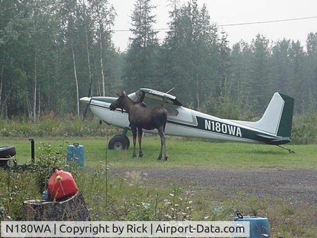 N180WA, Cessna 180 C/N 30754, I can do that