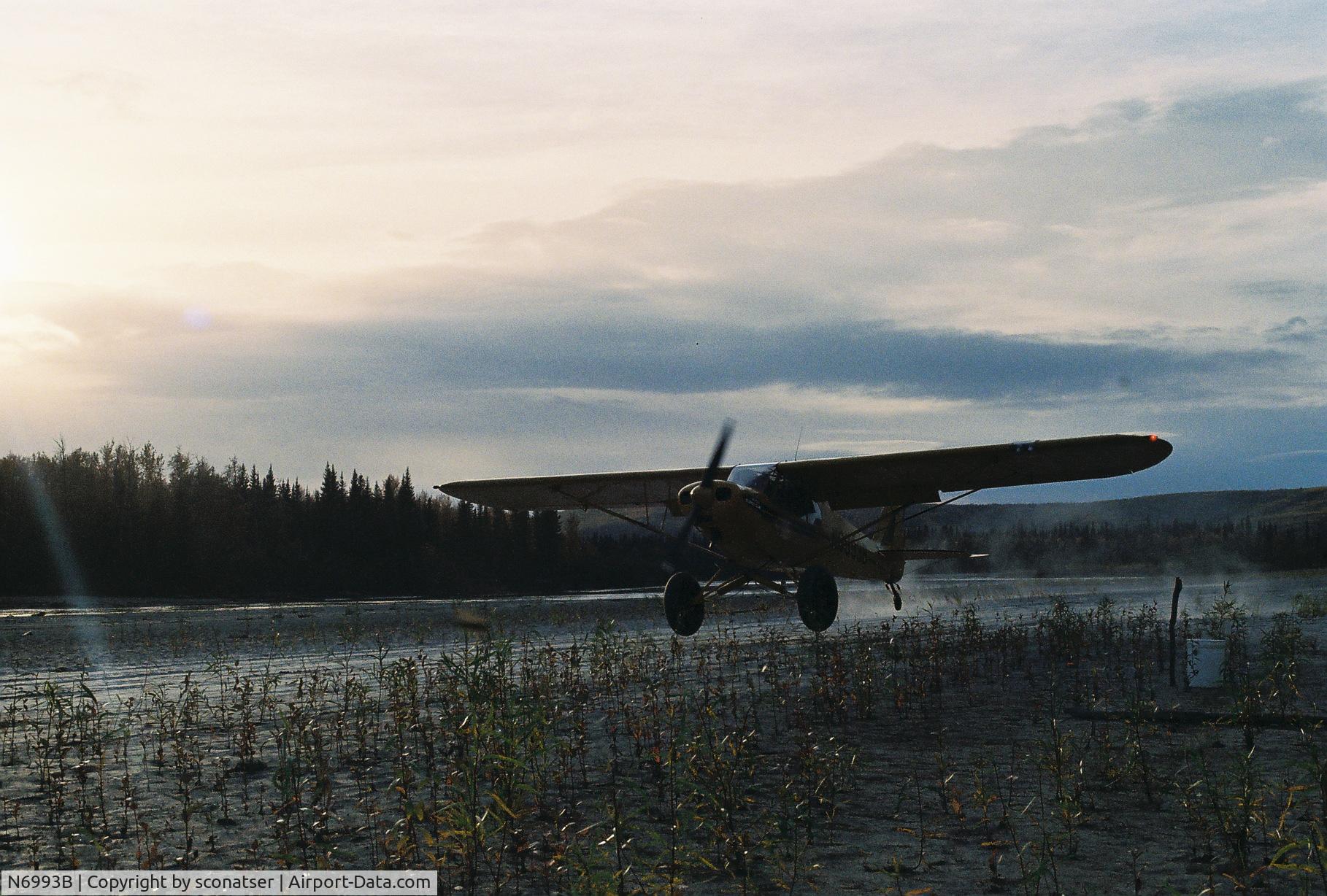 N6993B, 1956 Piper PA-18-150 Super Cub C/N 18-5115, Tanana Rover September 2006