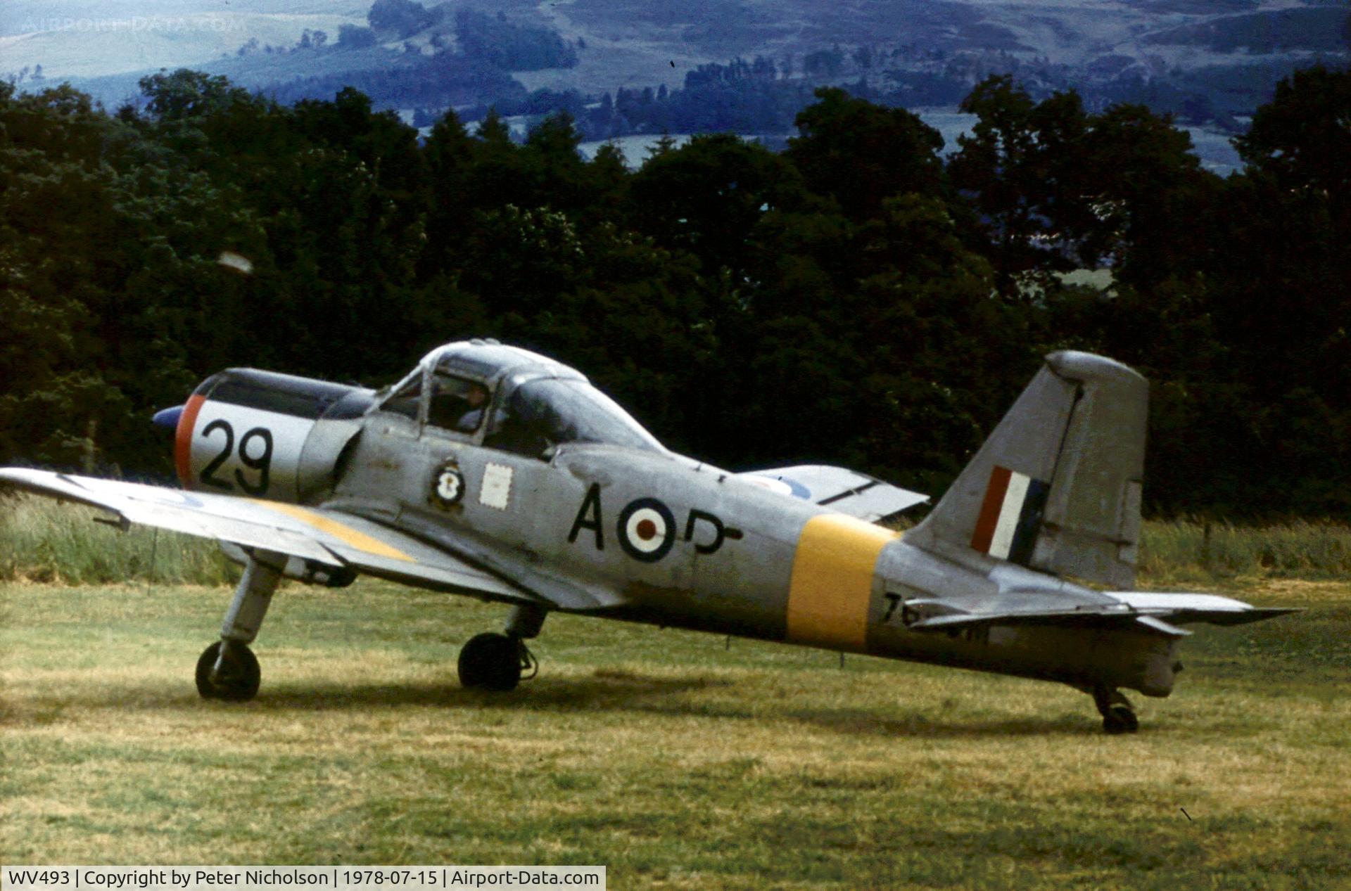 WV493, 1953 Percival P-56 Provost T.1 C/N PAC/56/056, Provost T.1 at the 1978 Strathallan Open Day.