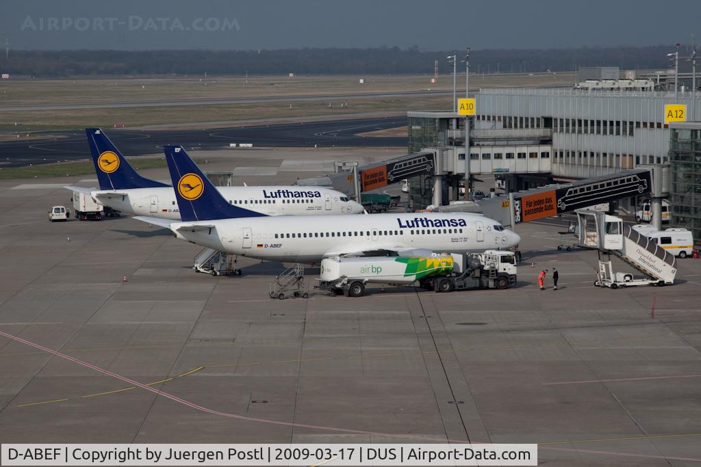 D-ABEF, 1991 Boeing 737-330 C/N 25217, Boeing 737-330