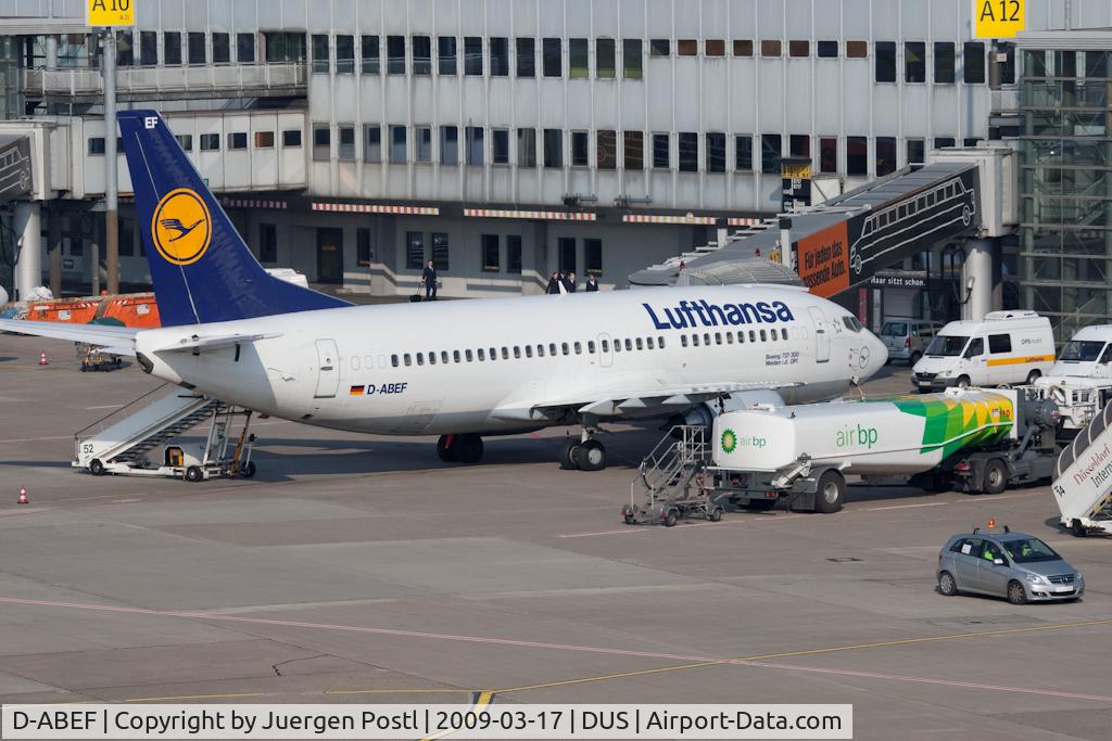 D-ABEF, 1991 Boeing 737-330 C/N 25217, Boeing 737-330