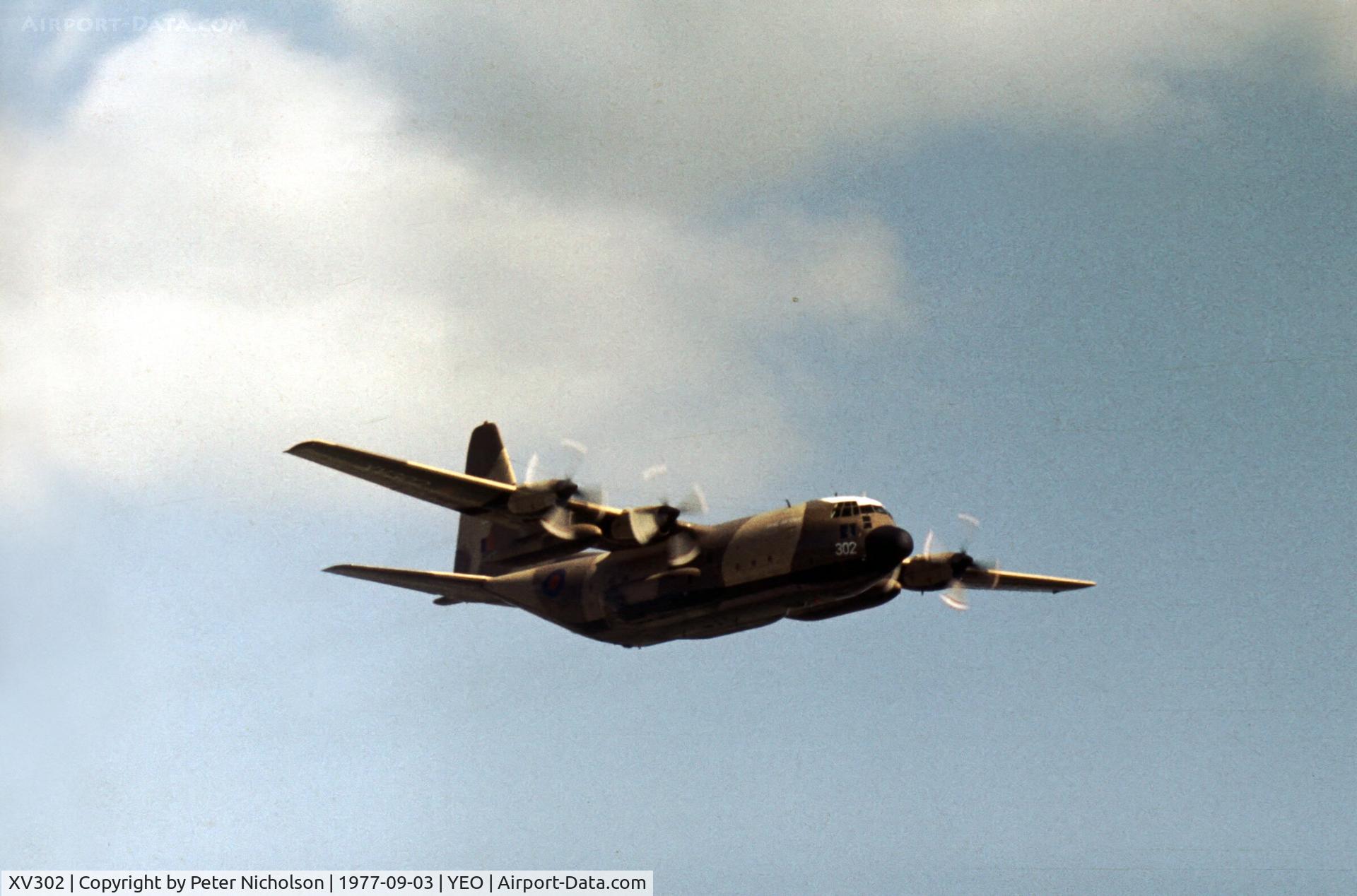 XV302, Lockheed C-130K Hercules C.1 C/N 382-4270, Hercules C.1 of the Lyneham Transport Wing acting as support aircraft for the RAF Falcons parachute display team at the 1977 RNAS Yeovilton Air Day.