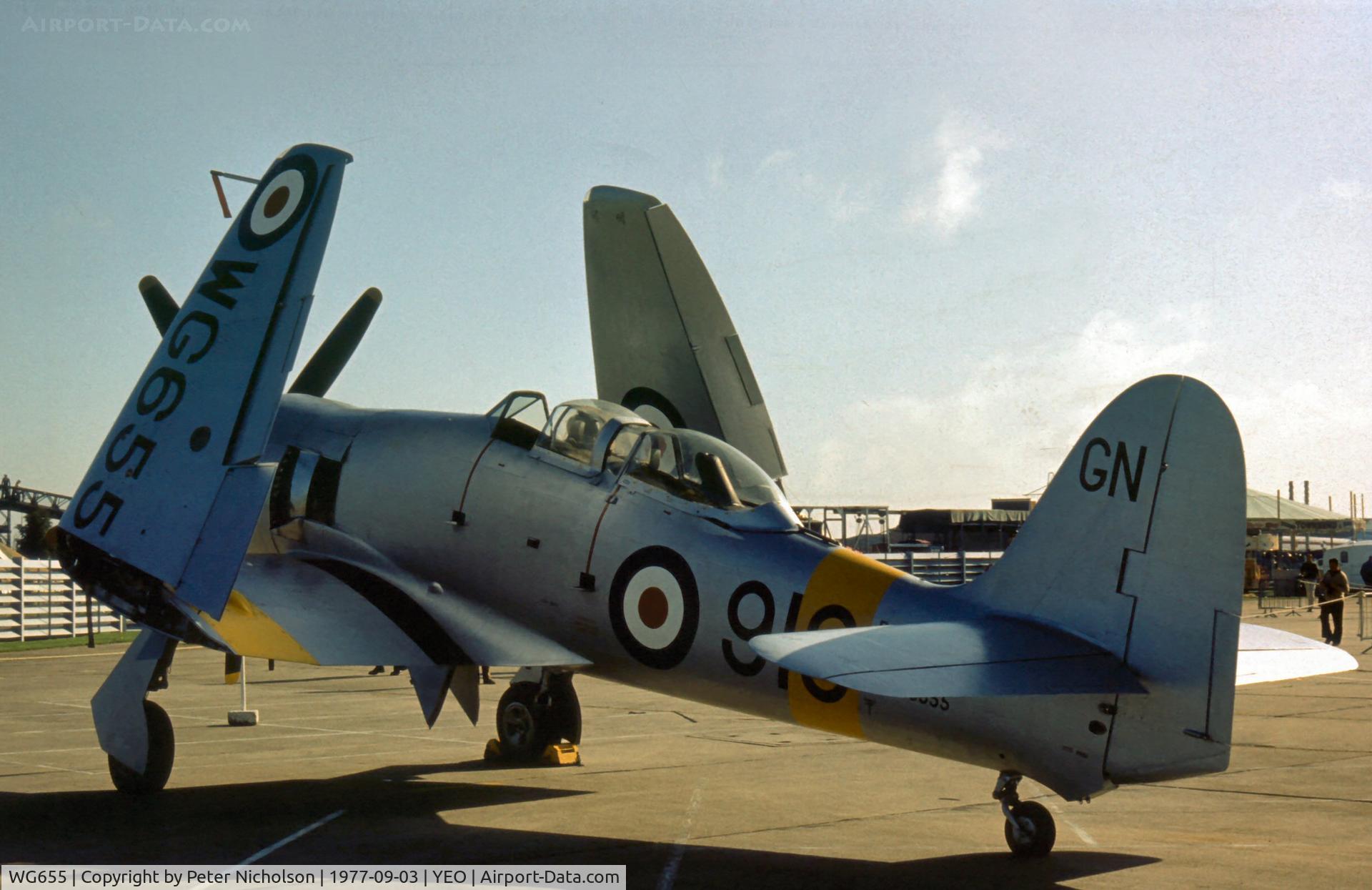WG655, 1952 Hawker Sea Fury T.20 C/N 41H/636070, The Royal Navy Historic Flight Sea Fury T.20 in new markings for the 1977 RNAS Yeovilton Air Day.