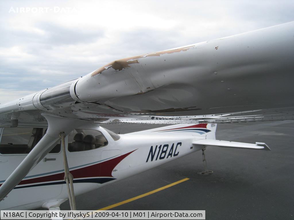N18AC, 2004 Cessna 172S C/N 172S9737, N18AC CESSNA 172 birdstrike