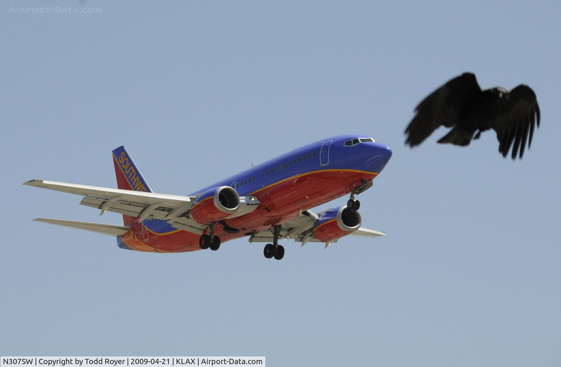 N307SW, 1985 Boeing 737-3H4 C/N 22947, Landing 24R at LAX