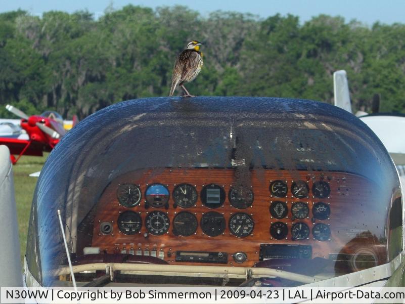 N30WW, 1994 Thorp T-18 Tiger C/N 1 (N30WW), I feel a good poop comin' on.  Sun N Fun 2009 - Lakeland, Florida