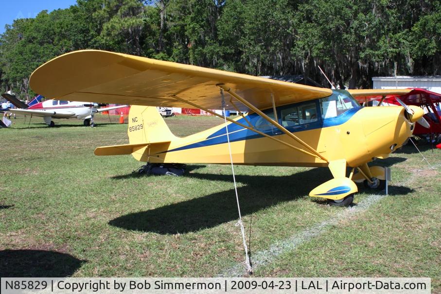N85829, 1946 Aeronca 11AC Chief C/N 11AC-239, Sun N Fun 2009 - Lakeland, Florida
