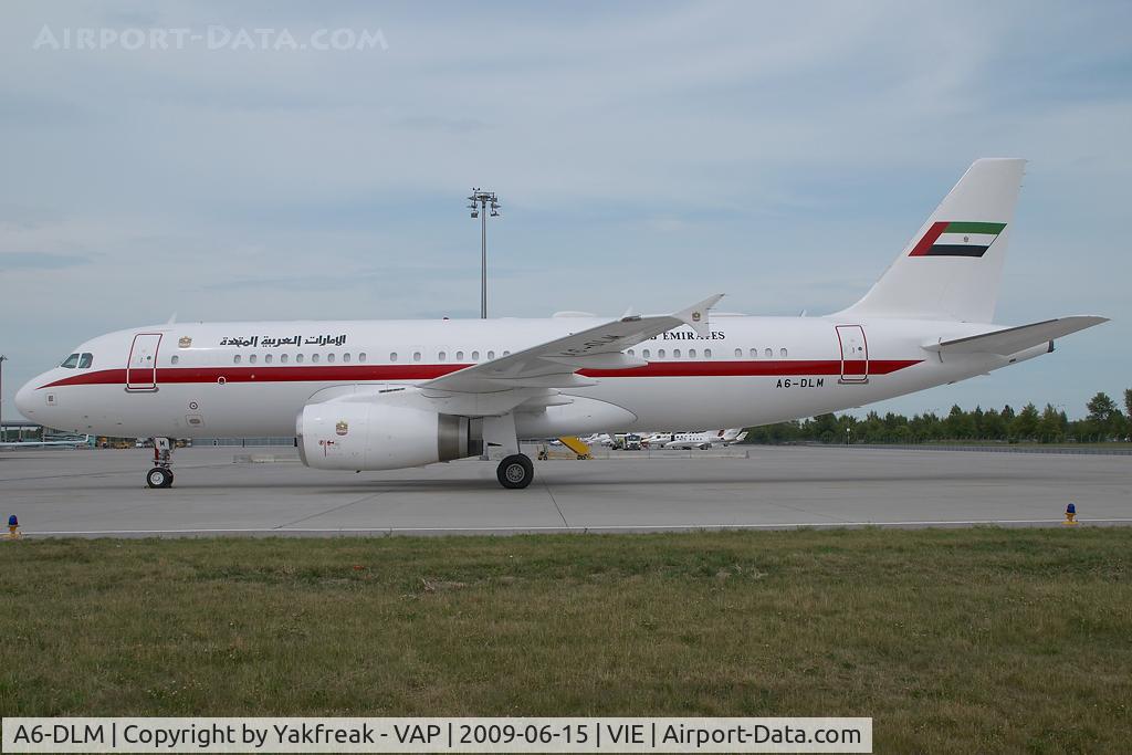 A6-DLM, 2005 Airbus A320-232 C/N 2403, UAE Government Airbus A320