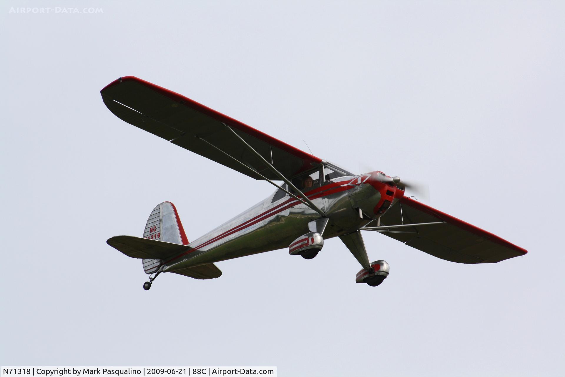 N71318, 1946 Luscombe 8A C/N 2745, Luscombe 8A
