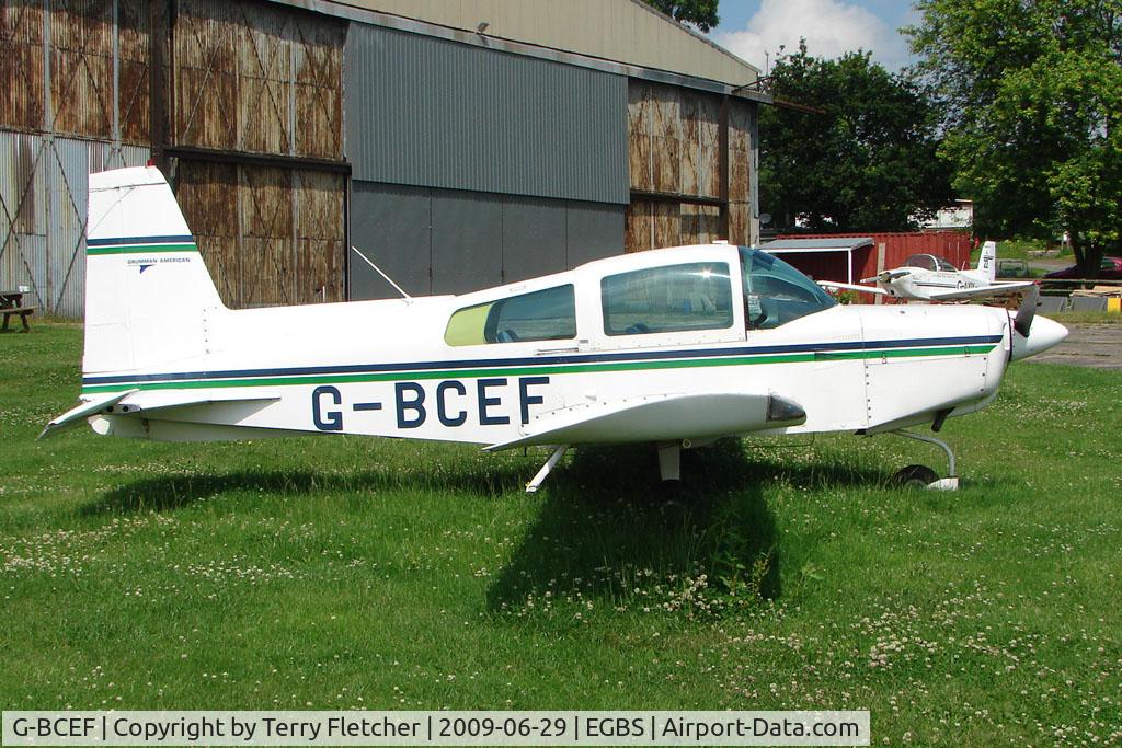 G-BCEF, 1974 Grumman American AA-5 Traveler C/N AA5-0572, Grumman AA-5 parked at Shobdon on the Day of the 2009 LAA Regional Strut Fly-in