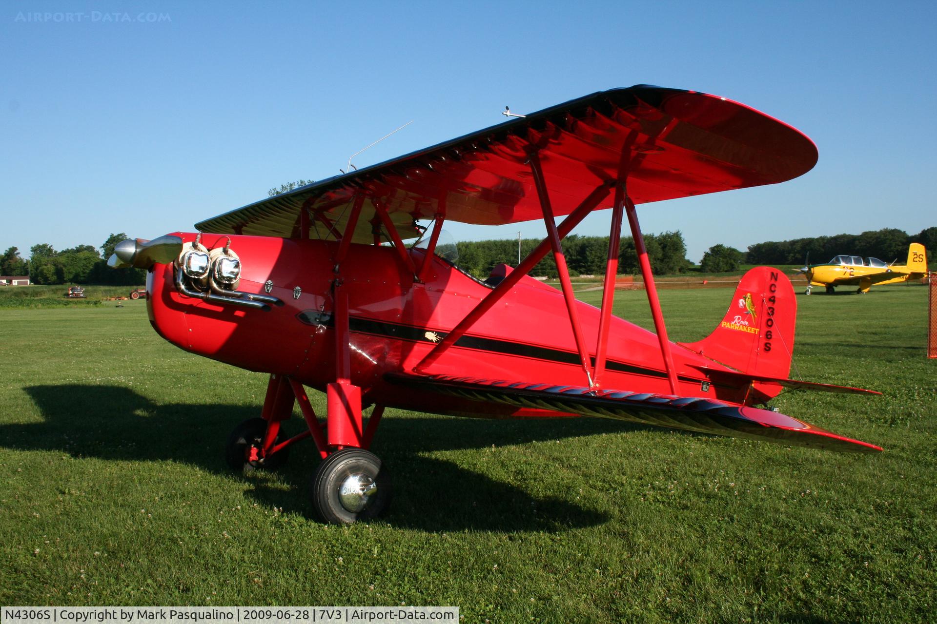 N4306S, 1996 Rose Parrakeet Replica C/N LS101, Rose  Parrakeet