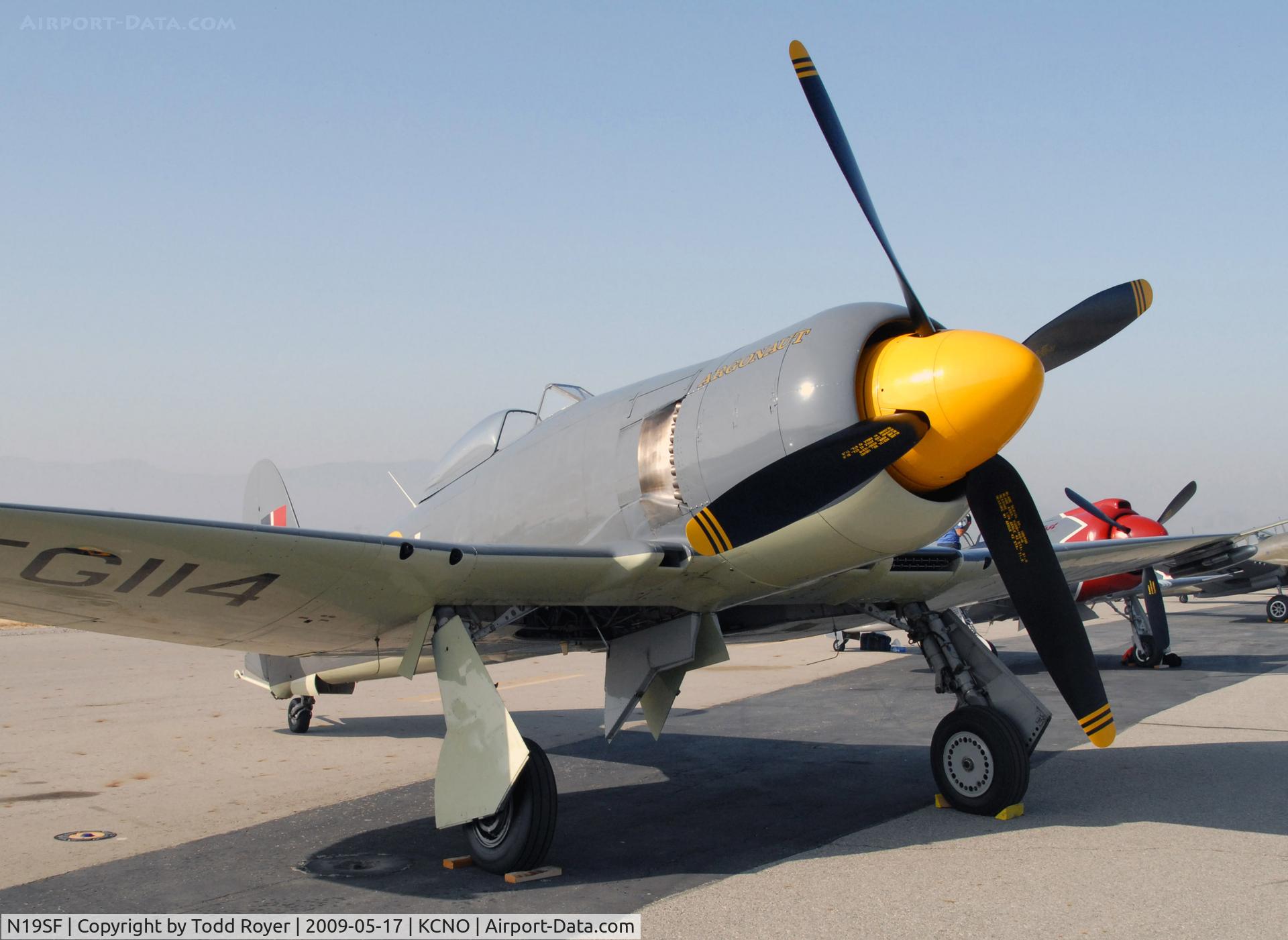 N19SF, 1947 Hawker Sea Fury FB.11 C/N 41H/656803, Chino Airshow 2009