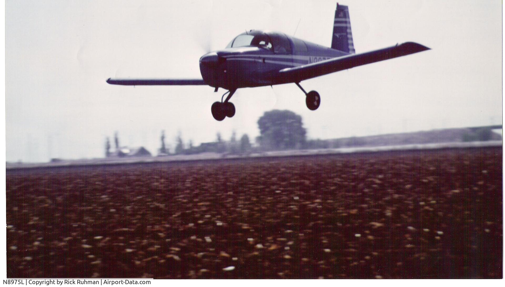 N8975L, 1974 Grumman American AA-1B Trainer C/N AA1B-0425, N8975L Fly By RG
