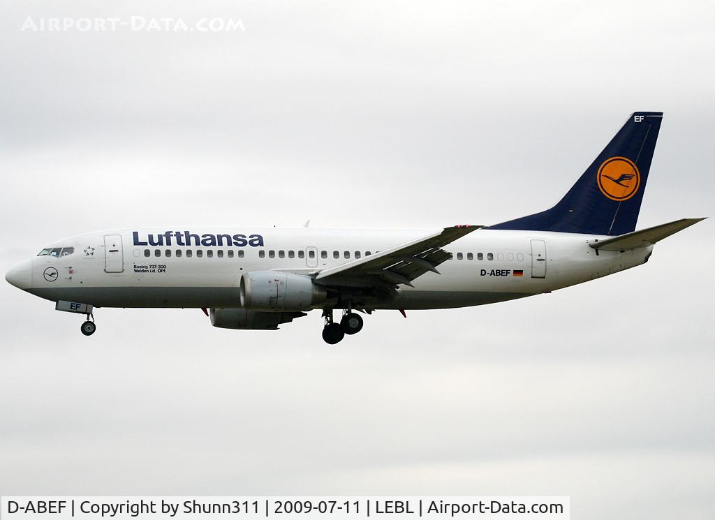 D-ABEF, 1991 Boeing 737-330 C/N 25217, Landing rwy 25R