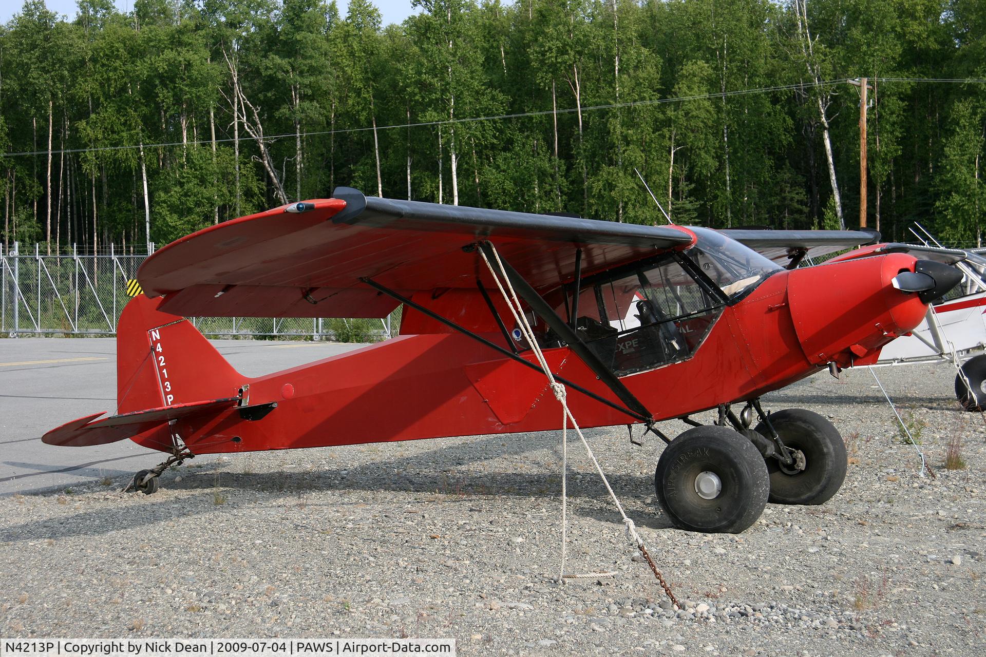 N4213P, 1981 Chapman Grant W CS#2 C/N 2, PAWS
