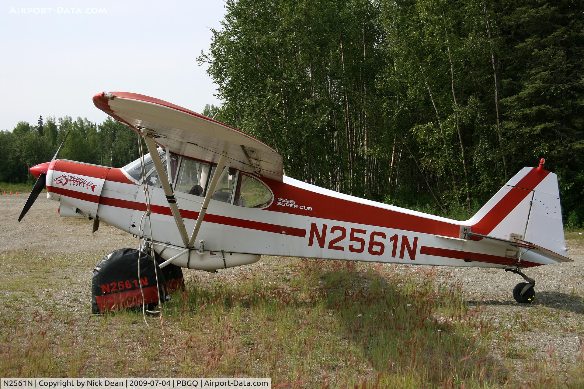 N2561N, 1979 Piper PA-18-150 Super Cub C/N 18-8009038, PBGQ