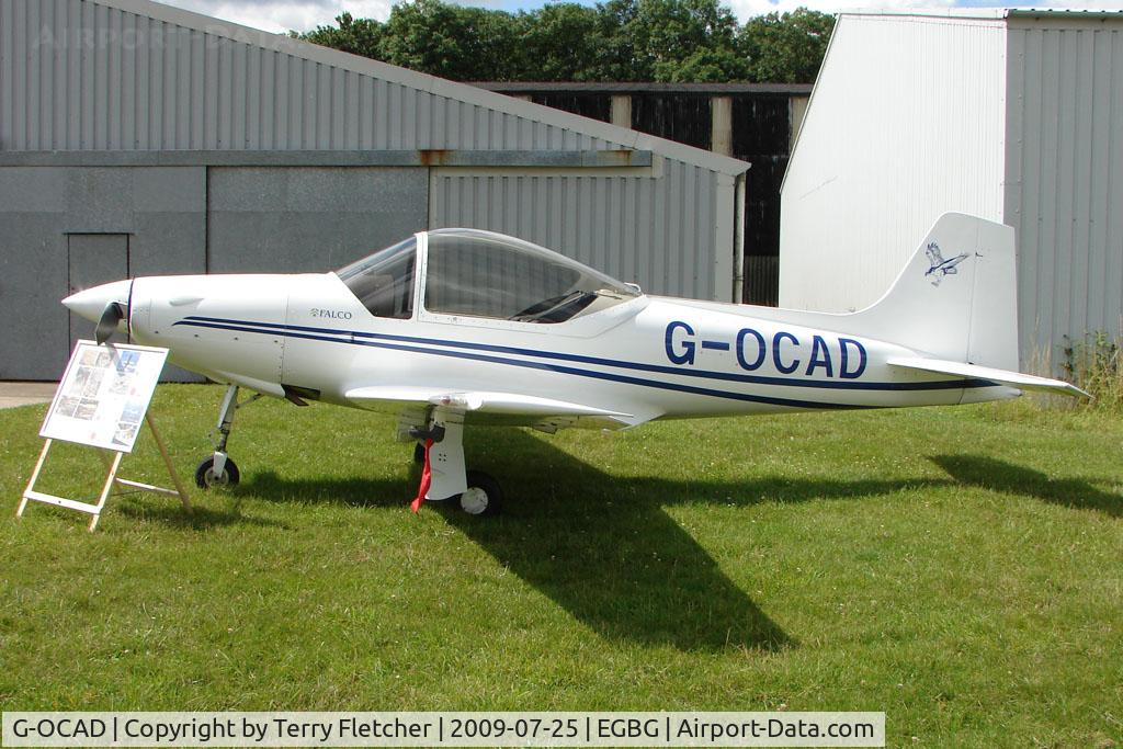 G-OCAD, 1996 Sequoia F-8L Falco C/N PFA 100-12114, Falco F8L at Leicester on 2009 Homebuild Fly-In day