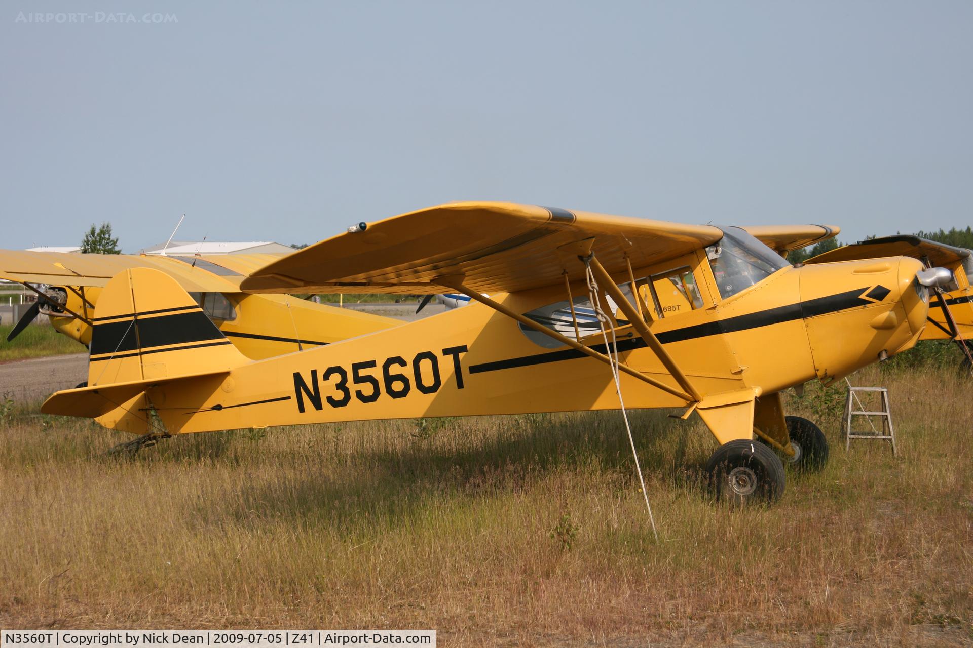N3560T, 1974 Taylorcraft F-19 Sportsman C/N F-019, Z41