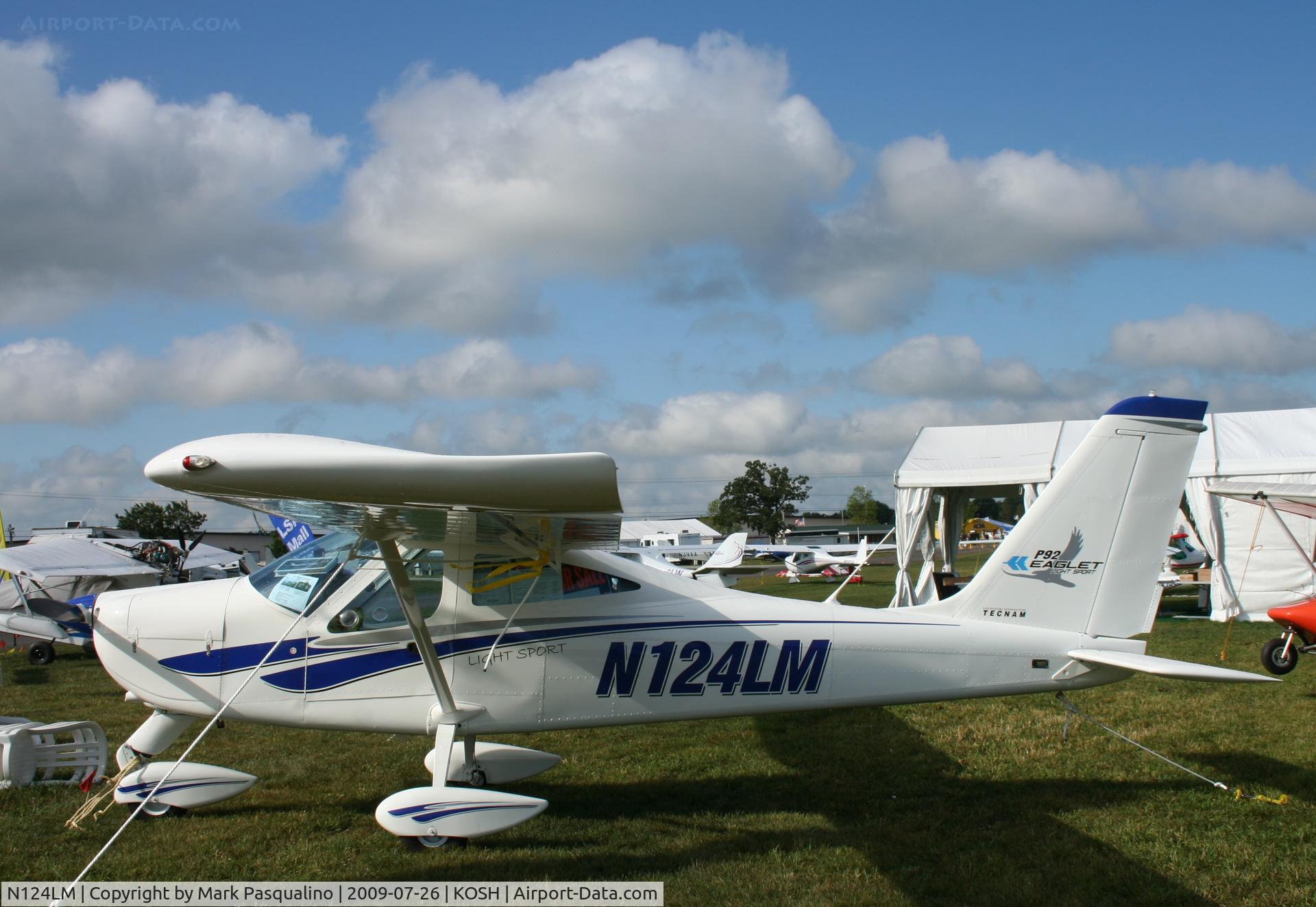 N124LM, 2009 Tecnam P-92 Eaglet C/N 1228, P2 Eaglet