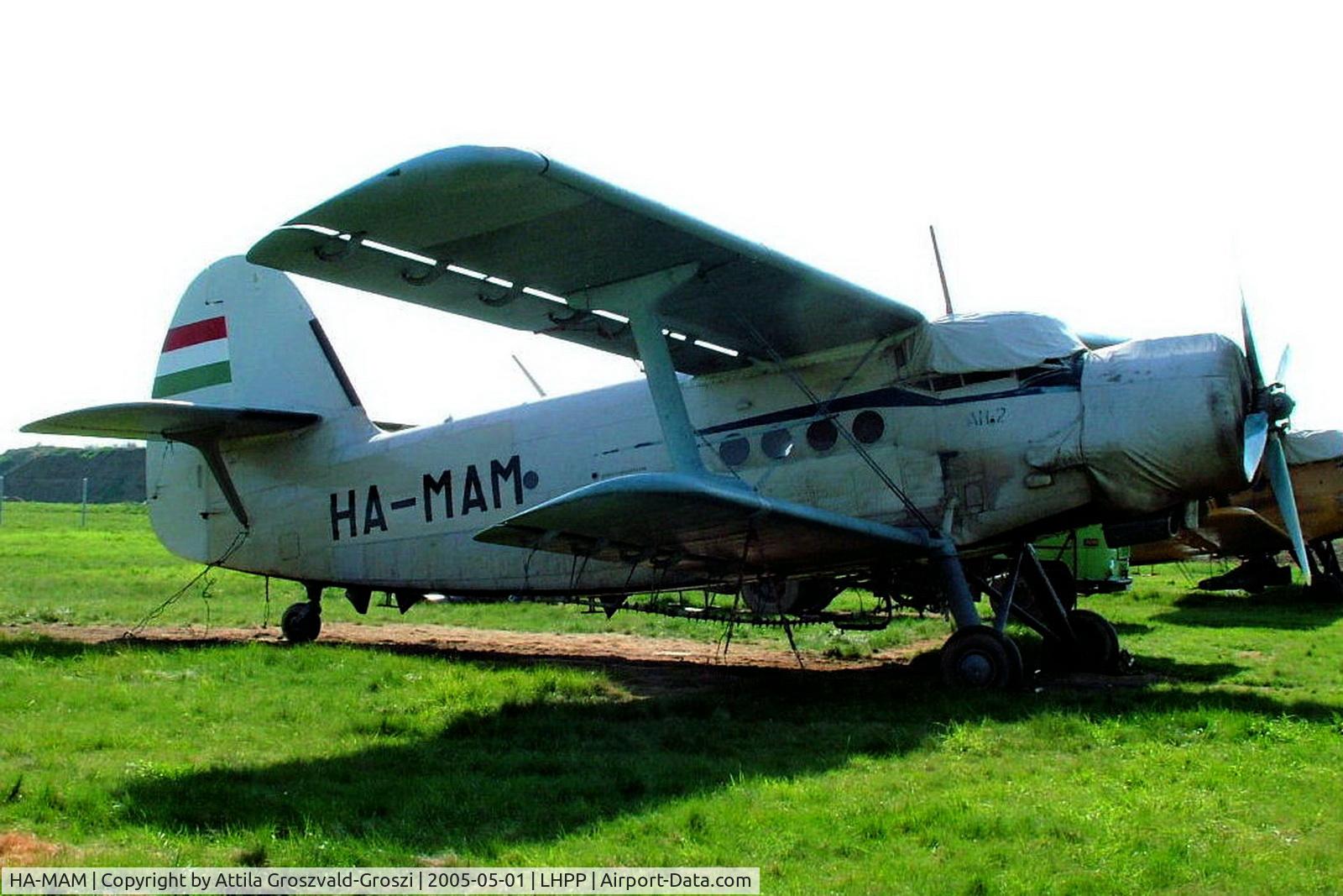 HA-MAM, 1984 PZL-Mielec An-2R C/N 1G208-44, Pecs-Pogany Airport, LHPP-Hungary