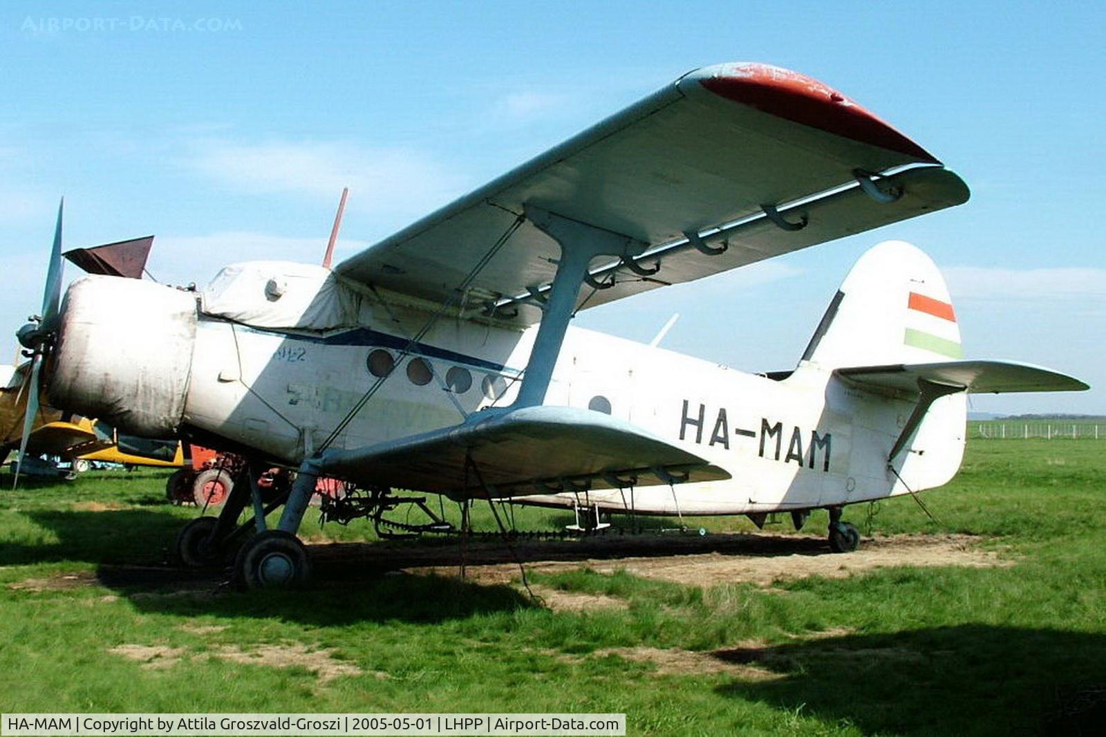 HA-MAM, 1984 PZL-Mielec An-2R C/N 1G208-44, Pecs-Pogany Airport, LHPP-Hungary